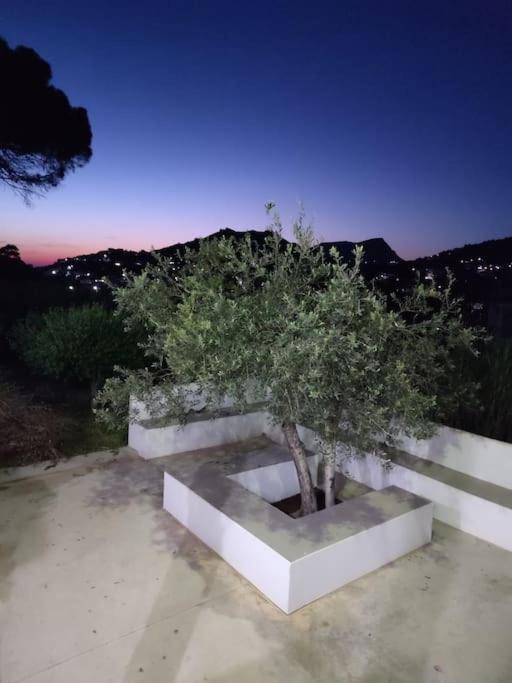 Το Σπιτάκι To Spitaki Τhe Little House Villa Panormos  Eksteriør billede