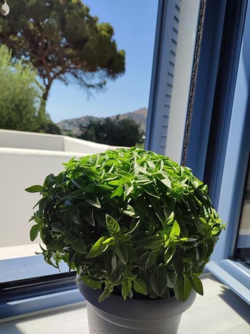 Το Σπιτάκι To Spitaki Τhe Little House Villa Panormos  Eksteriør billede
