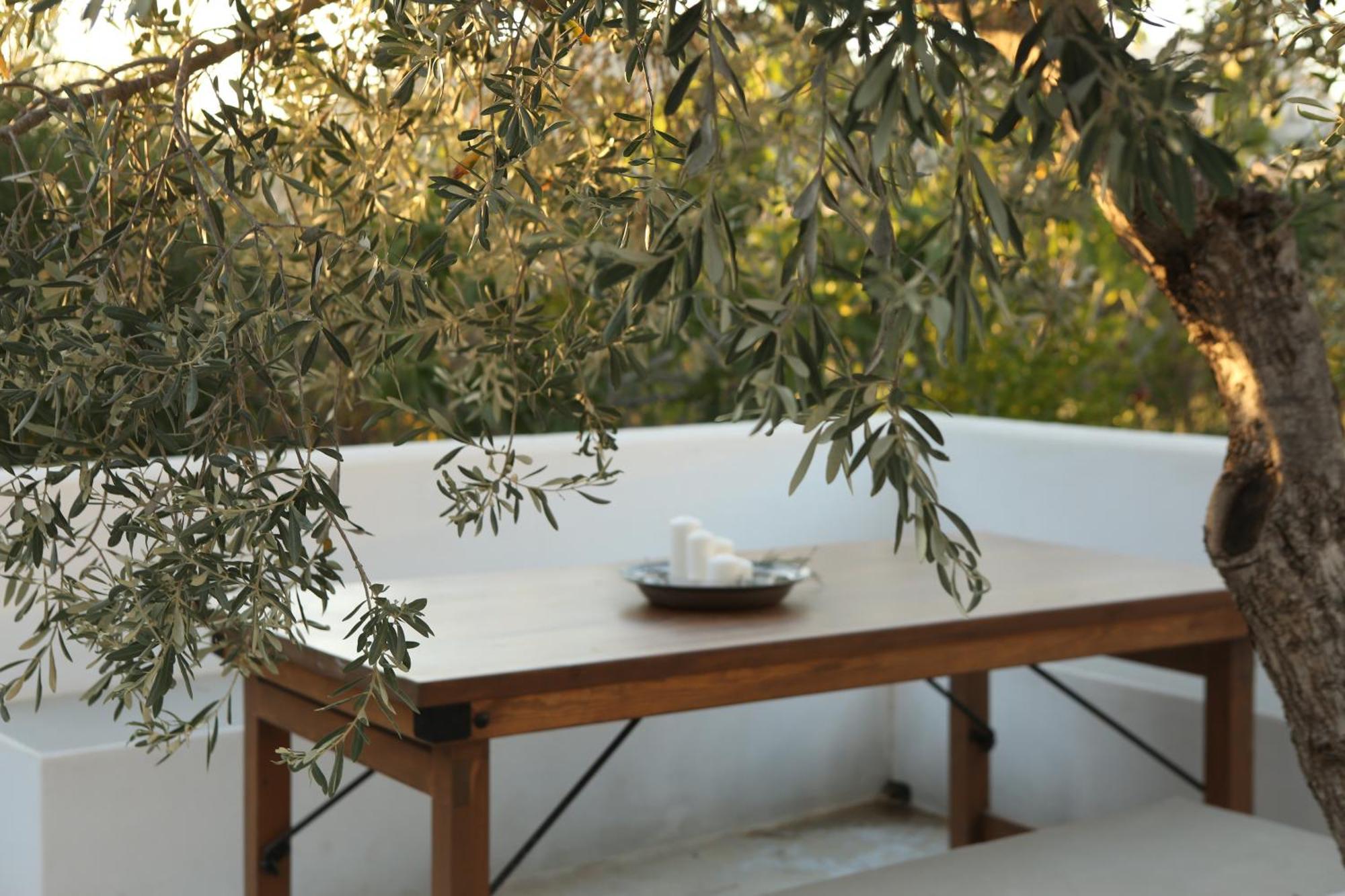 Το Σπιτάκι To Spitaki Τhe Little House Villa Panormos  Eksteriør billede