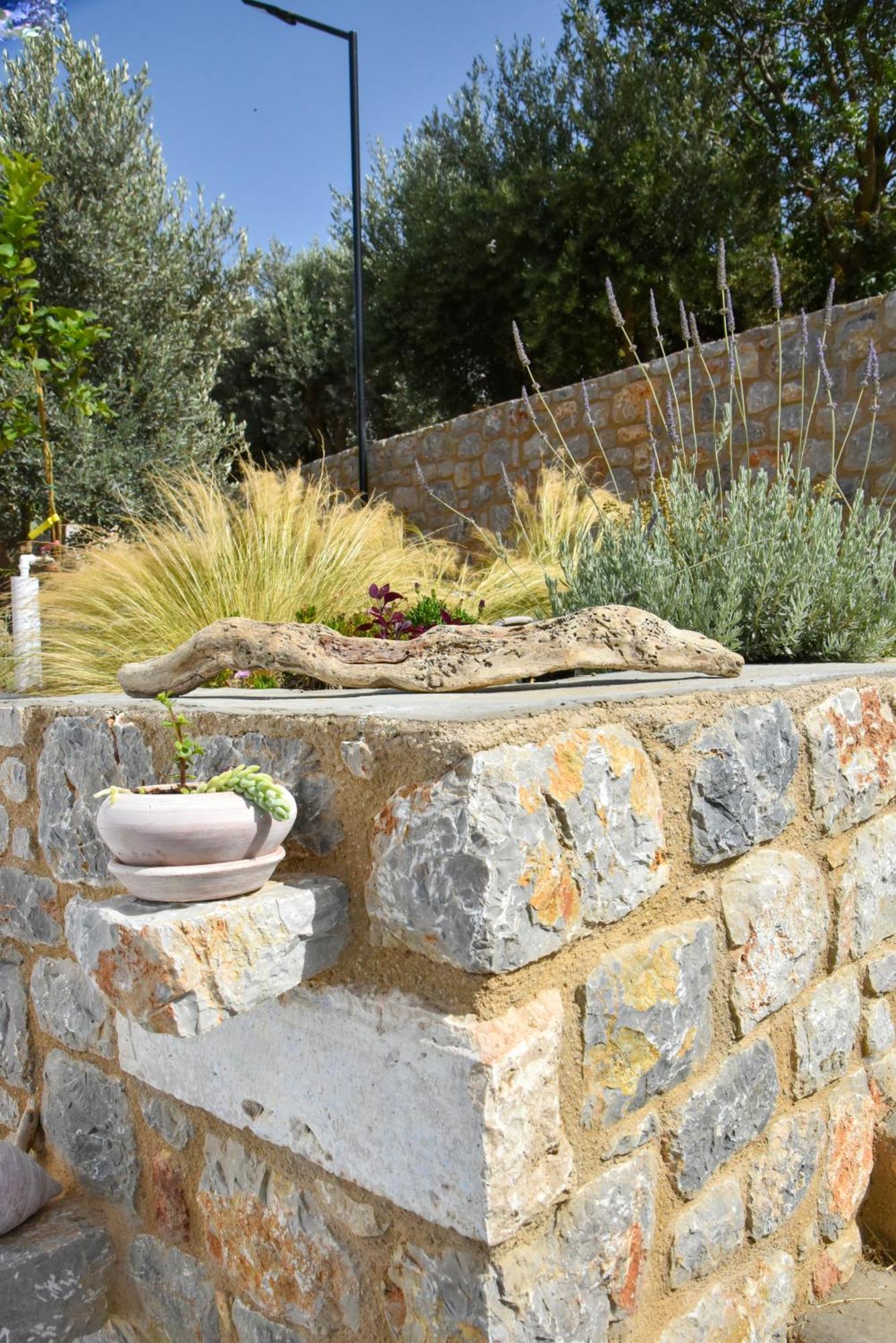 Το Σπιτάκι To Spitaki Τhe Little House Villa Panormos  Eksteriør billede